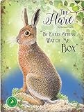 Kühlschrank Magnet – Der Hase – von Early Spring Armbanduhr Me Box