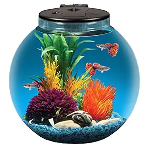 KollerCraft AP30000IF-FFP 3 gallon Aquarium Kit