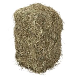 Dehner – Fardos de Paja de Prado (1 Unidad de 10 kg)