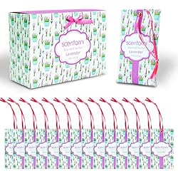 SCENTORINI Sachets Parfumés Lavande pour Tiroirs et Placards, 10g x 14 sachets