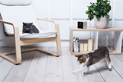 Petcube-Interactive-Wi-Fi-Pet-Camera