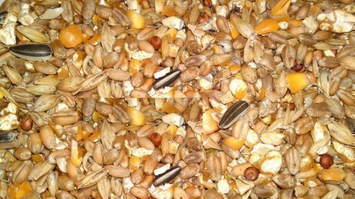 HTC ChickenKorn 25Kg Hühnermischfutter