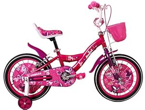 angel 16 bike