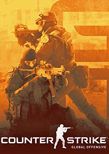 Preisvergleich Produktbild Counter-Strike: Global Offensive Poster