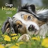 Hunde 2015 A&I by