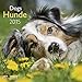 Hunde 2015 A&I by