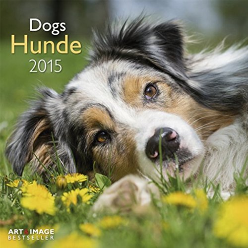 Hunde 2015 A&I