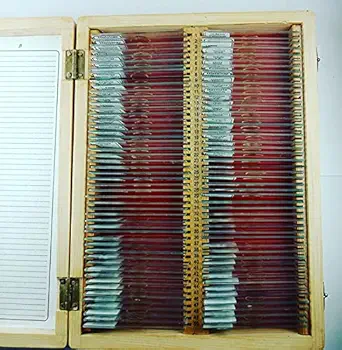 Comet Microscope Prepared Slides in Wooden Box, 100 Slides