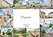 Plauen Impressionen (Wandkalender 2020 DIN A4 quer) by 