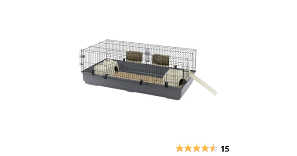 rabbit accessories amazon