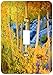 Price comparison product image 3dRose LSP_205737_1 USA, California, Sierra Nevada Mountains, Fall Colours of Aspen Trees. - Single Toggle Switch, Multi