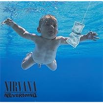 Nevermind - Nirvana: Amazon.fr: CD et Vinyles}