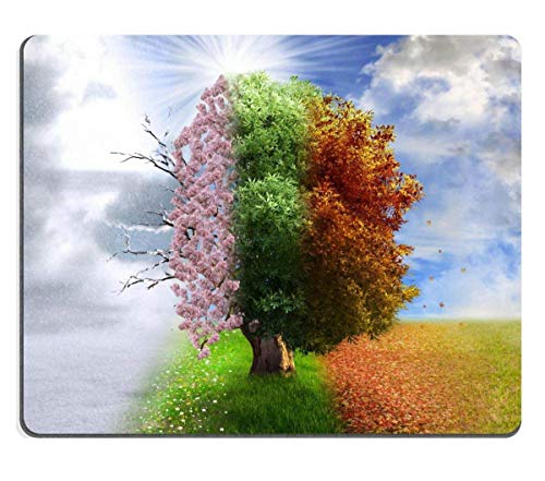 Preisvergleich Produktbild Mousepads Ball and Wood of Golf Image ID 35200285 250mm*300mm