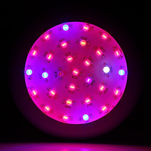JADIDIS 300W UFO LED Pflanzenlampe Doppelte Chips für Kraut Blume Zimmerpflanzen Wachsend Hydroponisches System 9 Band Vollspektrum Wachsen Licht(10W Leds) - 7