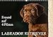 Freund auf 4 Pfoten - Labrador Retriever (Wandkalender 2019 DIN A3 quer): Der Labrador Retriever, eine der beliebtesten Hunderassen auf 13 ... (Monatskalender, 14 Seiten ) (CALVENDO Tiere) by 