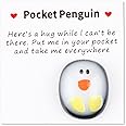 GLADFRESIT Pocket Penguin Hug, Mini Cute Penguin Gifts Encourage Keepsake Ornament for Lover Friends Family