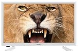Tipo HD: HD TELEVISOR DLED HD RADY 20\" NEVIR NVR-7412-20HD-B