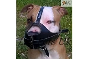 Champion /L&J Pets UK Bozal para perro de piel auténtica fuerte para American Staffordshire Terrier Amstaff (A2, negro)