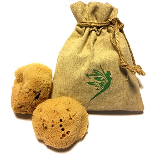 Preisvergleich Produktbild Natur-Schwämme – Mittelmeer