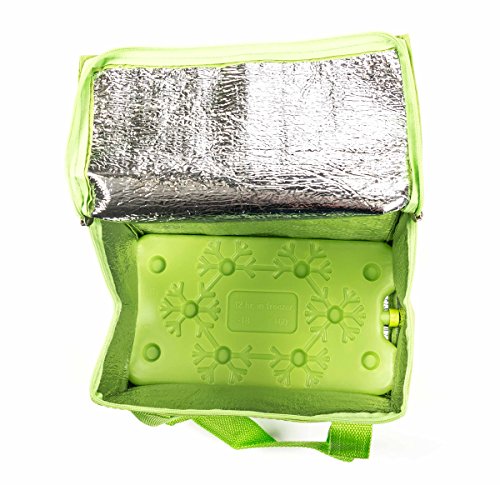 Preisvergleich Produktbild Kühltasche mit Kühlakku, Griffbänder, Volumen 7 Liter, faltbar, handlich, lieferbar in den Farben Pink, Blau oder Grün (Grün)