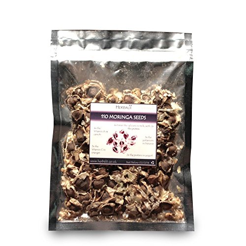 Preisvergleich Produktbild 110 Moringa samen / 100% Organische