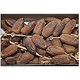 Dry Fruit Wala Barari Tunisian Deglet Nour Branched Dates, 1 kg