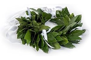 CORONEDILAUREA.COM Corona di laurea Royal con foglie di alloro fresco, Qualità premium, Made in Italy (Bianco)