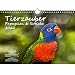 Tierzauber Papageien und Sittiche DIN A4 Kalender 2020 - Seelenzauber by