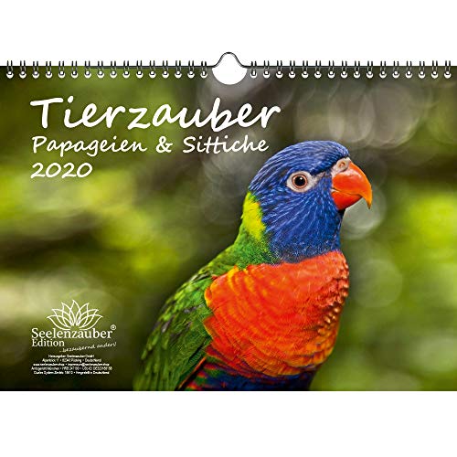 Tierzauber Papageien und Sittiche DIN A4 Kalender 2020 - Seelenzauber