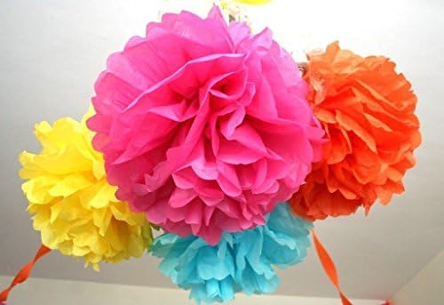 Pack of 16pcs Rainbow Mixed Size Tissue Paper Pom Poms Lanterns Decorations by Erosion