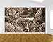 Produktbild selbstklebende Fototapete "Plitvicer Seen II - Kroatien - sephia" 360x230 cm - Tapete mit Klebstoff – Wandtapete – Poster – Dekoration – Wandbild – Wandposter – Wand – Fotofolie – Bild – Wandbilder - Wanddeko