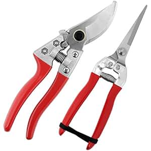 Suchergebnis auf Amazon.de für: japanische gartenschere: Baumarkt