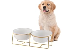 HCHLQLZ Bebedero y Comedero Perro Elevado - Doble Cuenco Perro Ceramica con Soporte de Metal - Comedero Gato Alto Antivomito - Bol de Comida y Agua para Perros Pequeños y Medianos y Gatos Grandes - 2 x 800 ml