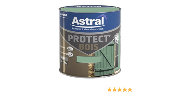 Astral 5120582 Protect Bois 0 5 L Satin Vert Provence Amazon Fr Bricolage