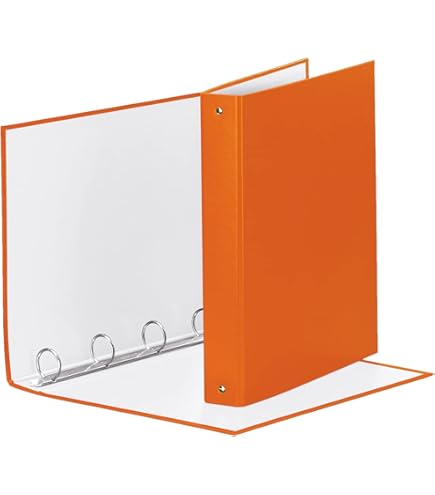 Esselte 395792900 Classeur à Anneaux Rose