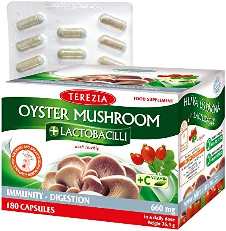 OYSTER MUSHROOM + LACTOBACILLI with rose hips and vitamin C - 660 mg - 60 capsules - Immunity - Digestion