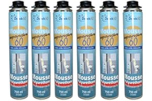 DSTOCK60 - LOT DE 6 MOUSSES PISTOLABLES - MOUSSE EXPANSIVE 750 ML - MOUSSE POLYURÉTHANE PROFESSIONNELLE - ISOLE, COLLE ET REBOUCHE - EXTÉRIEUR ET INTÉRIEUR