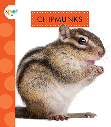 Preisvergleich Produktbild Chipmunks (Spot Backyard Animals)