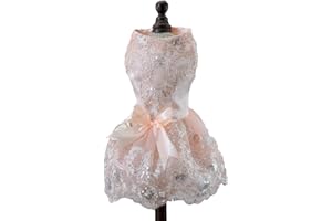 DELIFUR Abito da Sposa in Pizzo per Cani Gonna Tutù Cucciolo di Gatto Abito da Principessa Floreale Costume da Festa di Compleanno per Animali Domestici per la Primavera Estate(Pink,XL)