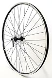 fahrrad felgen 28 zoll mit speichen Felge I 622x19 CUT19 Hohlkammerfelge schwarz beschichtet - abgedrehte Bremsflanken -Ventilloch 8,5