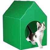 Temel &Ouml;zel &Uuml;retim Plastik Kedi K&ouml;pek Evi Yeşil Platik Sokak Hayvanları i&ccedil;in Kedi Evi Katlanır