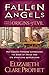 Fallen Angels and the Origins of Evil by 