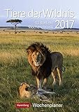 Tiere der Wildnis - Kalender 2017: Wochenplaner, 53 Blatt mit Wochenchronik by