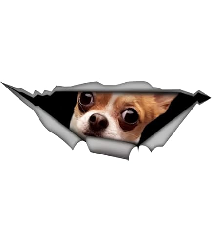 Pegatina Para El Coche De 25 Cm (9,8 Pulgadas) Marrón Chihuahua Pegatinas Divertidas Para El Coche Chihuahua Amarillo Chihuahua Pegatinas Reflectantes Mascota Perro Impermeable Pegatinas 3D Rasgado