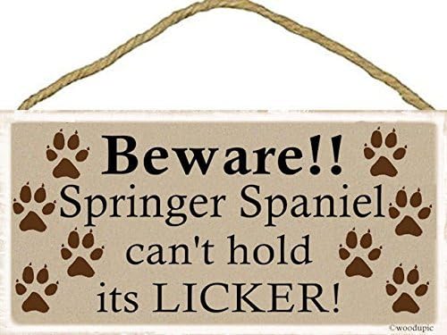 Beware!! Springer Spaniel can't hold its LICKER! / Sign 5''x10'' Wood, New, Hanging indoor Plaque / Celebrate your four-legged friends / Makes a great gift idea!