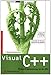 Visual C++ - Studentenausgabe: Windows-Programmierung mit den MFC (Programmer's Choice) by Frank Budszuhn