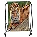Produktbild OQUYCZ Drawstring Sack Backpacks Bags,Tiger,Noble Beast Crouching on a Rock Sumatrian Large Cat Beautiful Nature Photography Decorative,Multicolor Soft Satin,5 Liter Capacity,Adjustable String