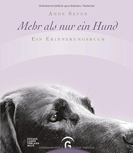 Hund Gestorben Was Nun Hunde Fande