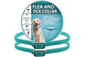 BKEPDY Hundehalsband 2 Stück Effektiver Schutz vor Ungeziefern Wasserdicht Einstellbares Floh und Zeckenschutz für Hunde Alle Größen und Rassen (Blau-2)