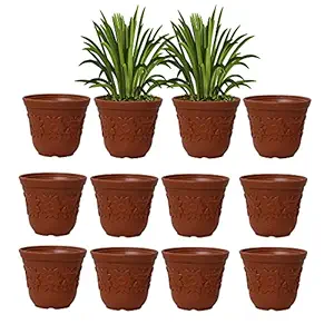 Prequality Overseas Wooden Golden Money Plant Indoor with Variegated Self Watering Pot Indoor Outdoor Plant Purifying Money Resistant Hanging Planter-6 Inches (Pack of 12)